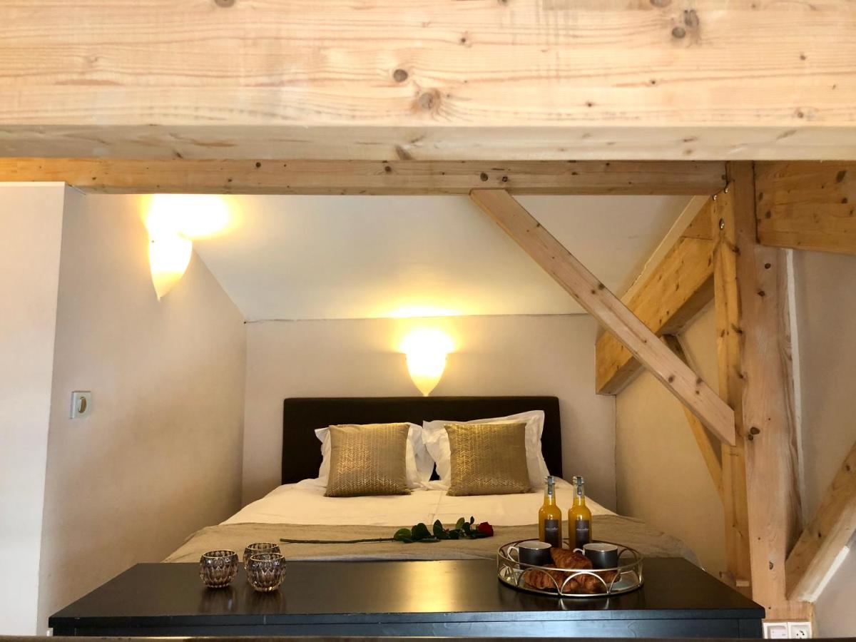 Magnifique Loft Climatise Buttes Chaumont Appartement Parijs