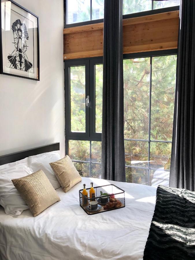 Magnifique Loft Climatise Buttes Chaumont Appartement *