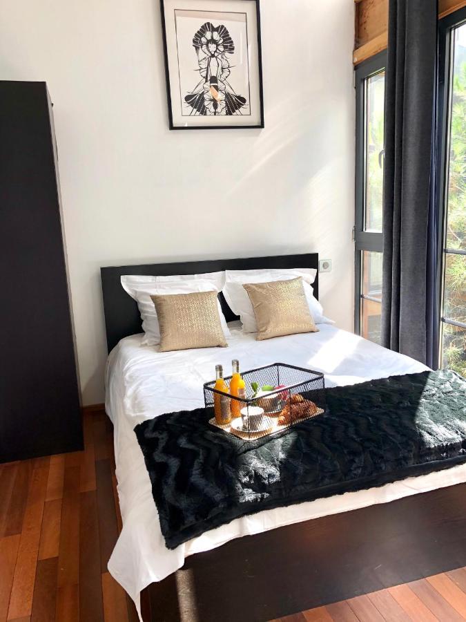 Magnifique Loft Climatise Buttes Chaumont Appartement Parijs